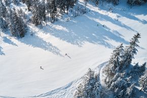 Detaillierte Infos zum Skiurlaub im Skigebiet Berwang - Bichlbach