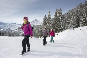 Detaillierte Infos zum Skiurlaub im Skigebiet Braunwald