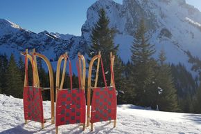 Rodelspaß im Allgäu