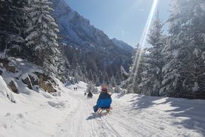 Nach dem Skifahren ist Rodeln angesagt.