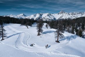 Winterwandern Moosalp