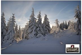 Der Januar ist der schneereichste Monat im Skigebiet Geißkopf