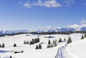 Winterlandschaft