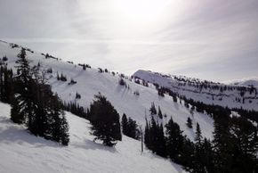 Für amerikanische Verhältnisse bietet Grand Targhee relativ viel Terrain über der Baumgrenze. Neben und zwischen den präparierten Pisten finden sich häufig auch schöne Buckelpisten und Tiefschneehänge