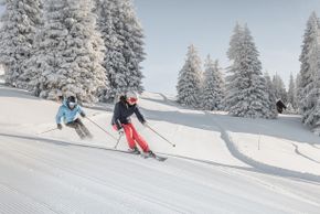 Detaillierte Infos zum Skiurlaub im Skigebiet Gstaad