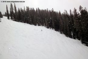 Blick vom Grizzly Lift auf die schwarze Wapiti Abfahrt!