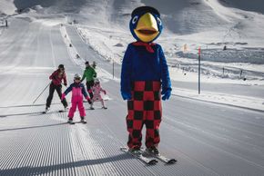 Detaillierte Infos zum Skiurlaub im Skigebiet Engstligenalp Adelboden