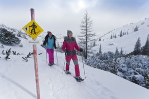 Detaillierte Infos zum Skiurlaub im Skigebiet Feuerkogel - Ebensee