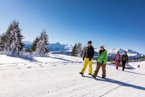 Winterwandern Feldis