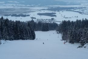 Ausblick von ganz oben auf das Loisachmoor