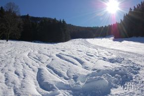Die Skipiste beim Lift Nr. 2 eignet sich optimal zum Tiefschneefahren.