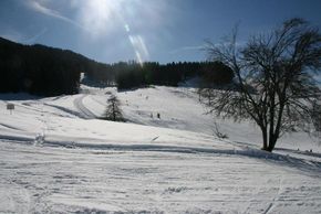 Der Königsberg liegt im niederösterreichischem Mostviertel. Vor allem Kinder aus dem Ybbs- und Ennstal kommen gerne hierher, um ihre ersten Versuche auf den Brettern zu wagen.