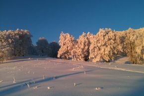 Abendstimmung nähe Gumme