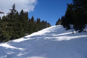 Jachymovska Freeride (11)