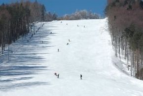 ©www.jaworzynakrynicka.pl