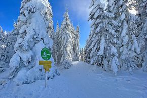 Es gibt ausgewiesene Winterwanderwege.