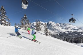 Bis zu 120 panoramareiche Pistenkilometer