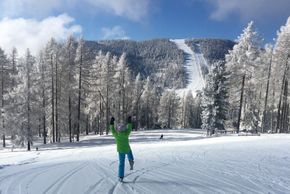 Detaillierte Infos zum Skiurlaub im Skigebiet Hochrindl - Sirnitz