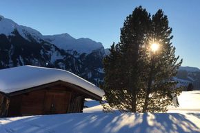 Detaillierte Infos zum Skiurlaub im Skigebiet Hochwang