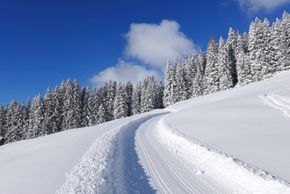 Detaillierte Infos zum Skiurlaub im Skigebiet Hochwang