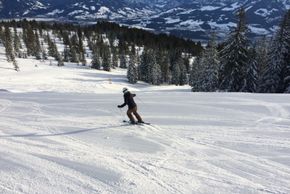 Am Weiherkopf finden sich Abfahrten für die ganze Familie