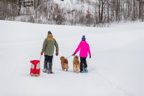 Detaillierte Infos zum Skiurlaub im Skigebiet Horseshoe Resort