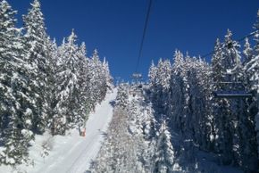 Detaillierte Infos zum Skiurlaub im Skigebiet Ski-Waldheimat Hauereck - St. Kathrein am Hauenstein