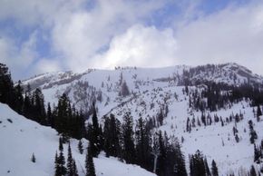 Leichte Bewaldung und zahlreiche Felsvorsprünge machen das Terrain abseits der präparierten Pisten von Jackson Hole zur echten Herausforderung.
