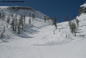 Nur leichte Bewaldung im oberen Bereich des Skigebietes.