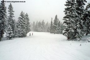 The easiest way down: Die Mambo-Abfahrt