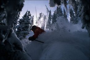 © www.losttrail.com