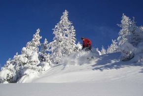 ©www.telelafouly.ch