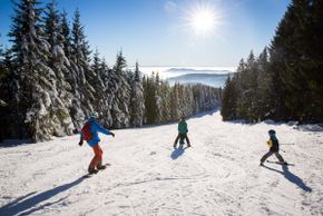 Detaillierte Infos zum Skiurlaub im Skigebiet Feldberg