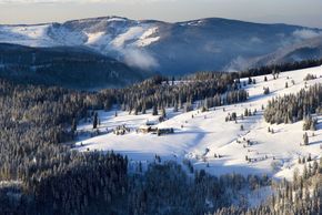 Der Feldberg im Winter