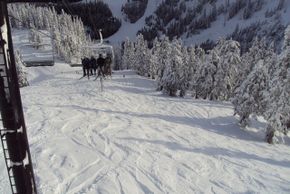 Acht verschiedene Liftanlagen bringen euch auf den Berg.