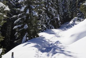 Die verschneiten Winterlandschaft im Muttereralmpark lädt zum Wandern.
