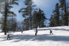 © www.skinashoba.com