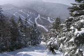 © http://www.smuggs.com