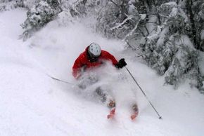 © http://www.smuggs.com