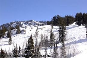 Detaillierte Infos zum Skiurlaub im Skigebiet Snowbird