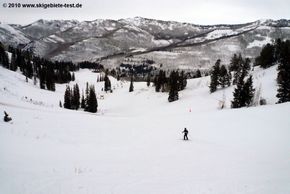 Detaillierte Infos zum Skiurlaub im Skigebiet Solitude