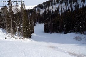 Detaillierte Infos zum Skiurlaub im Skigebiet Solitude