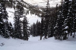 Detaillierte Infos zum Skiurlaub im Skigebiet Solitude