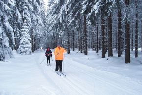Die Langlaufloipen in Schöneck führen durch verzauberte Winterlandschaften
