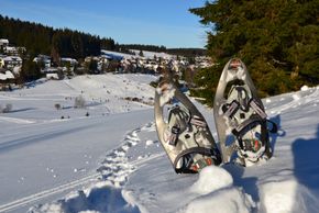 Detaillierte Infos zum Skiurlaub im Skigebiet Schönwald