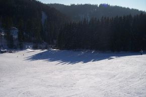 © www.schwarzenbach-wald.de