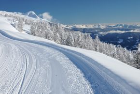 Detaillierte Infos zum Skiurlaub im Skigebiet Schwemmalm Ultental