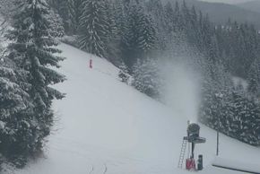 Detaillierte Infos zum Skiurlaub im Skigebiet Familienschiberg St. Jakob im Walde