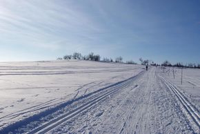 Es gibt mehrere Loipen im Wintersportgebiet.