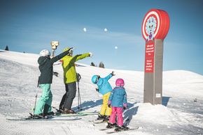 Detaillierte Infos zum Skiurlaub im Skigebiet Steinplatte Winklmoosalm